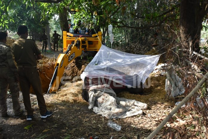 Ailing elephant dies after three days of treatment | www.jsglive.in